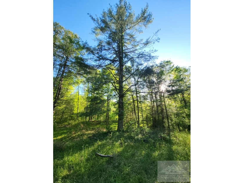 Welcome to Mountain Creek Meadow, offering 23.5 unrestricted - photo 33