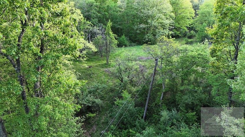 Welcome to Mountain Creek Meadow, offering 23.5 unrestricted - photo 35