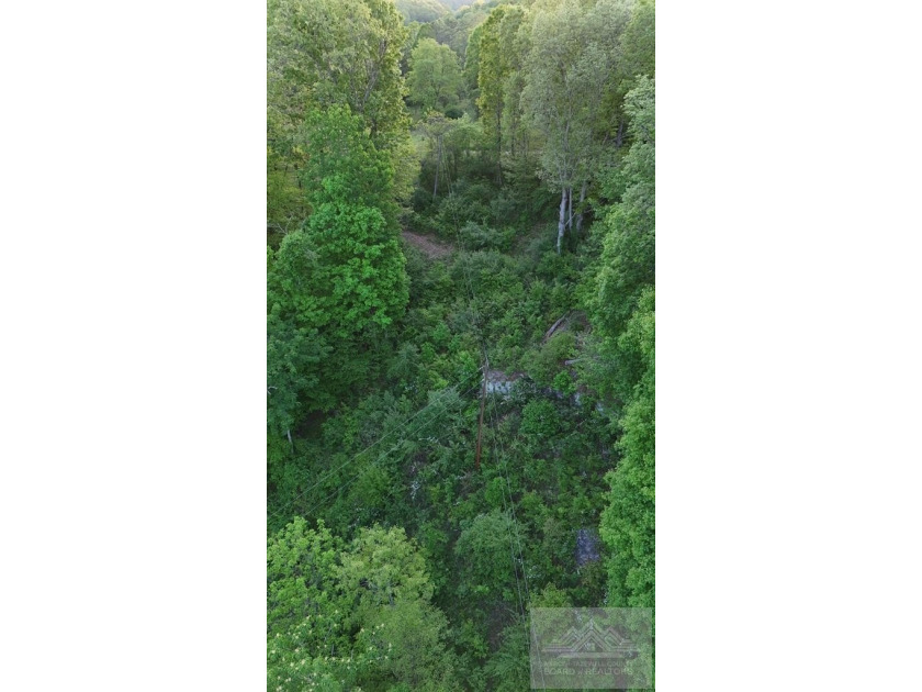 Welcome to Mountain Creek Meadow, offering 23.5 unrestricted - photo 36