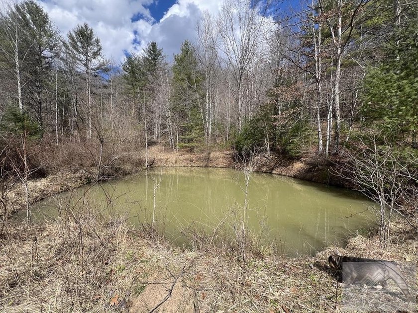 Welcome to Mountain Creek Meadow, offering 23.5 unrestricted - photo 38