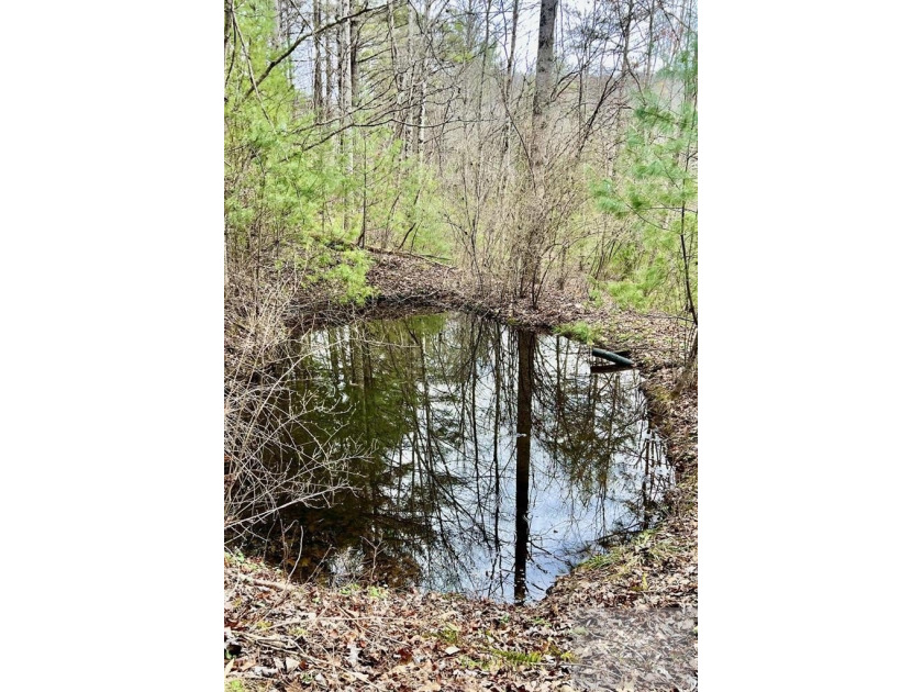 Welcome to Mountain Creek Meadow, offering 23.5 unrestricted - photo 39