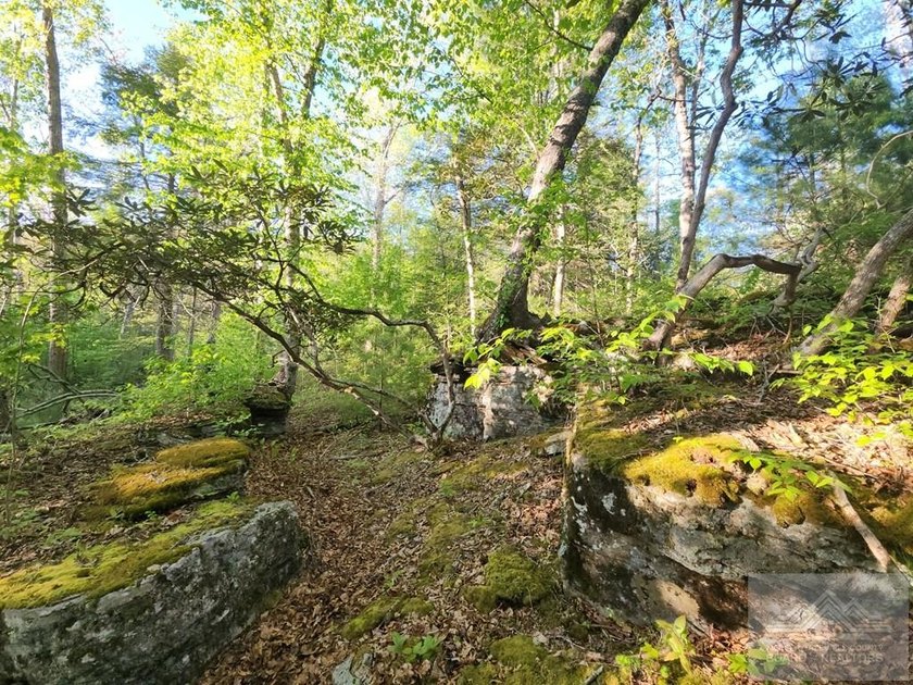 Welcome to Mountain Creek Meadow, offering 23.5 unrestricted - photo 40