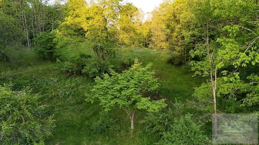Welcome to Mountain Creek Meadow, offering 23.5 unrestricted - photo 41