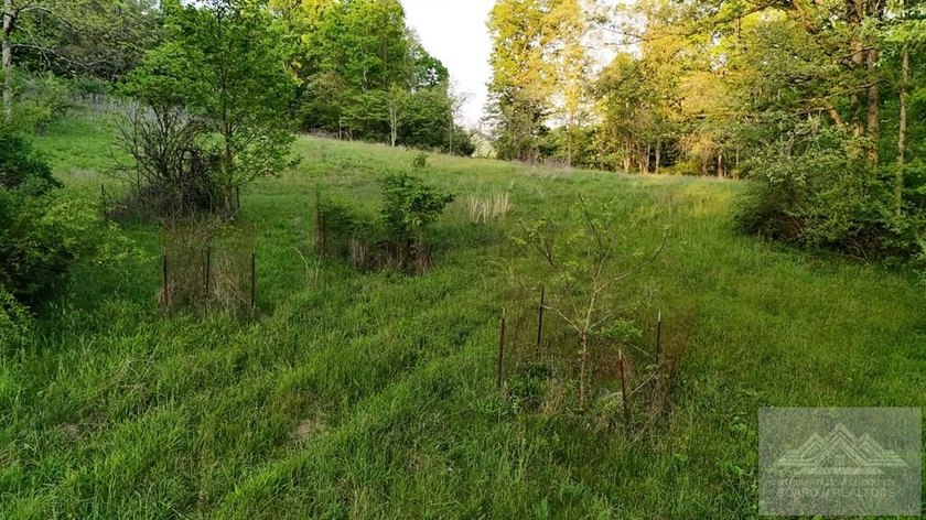 Welcome to Mountain Creek Meadow, offering 23.5 unrestricted - photo 42