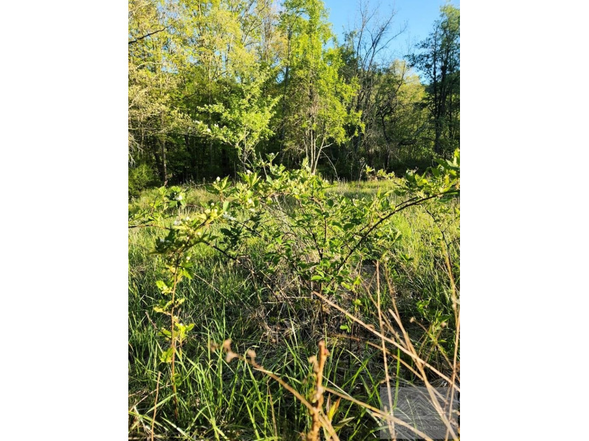 Welcome to Mountain Creek Meadow, offering 23.5 unrestricted - photo 43