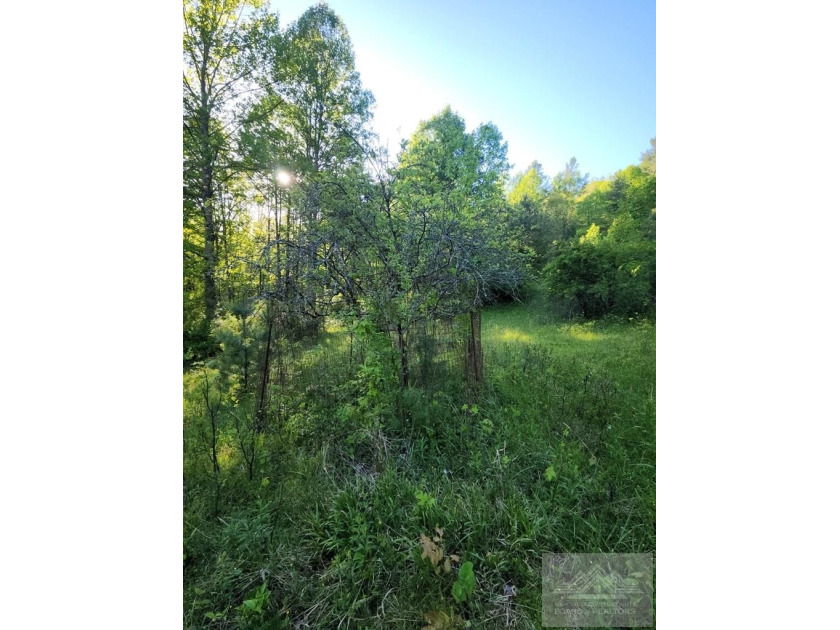 Welcome to Mountain Creek Meadow, offering 23.5 unrestricted - photo 45