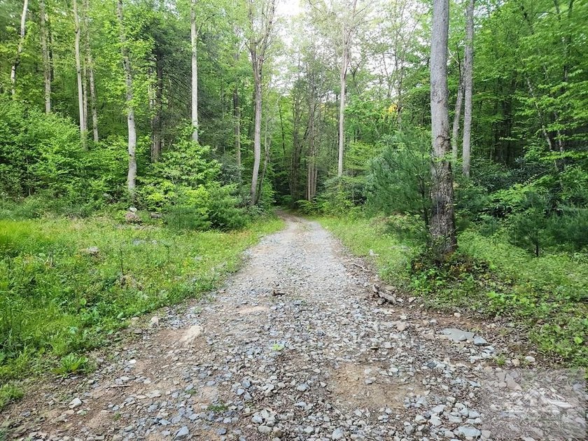 Welcome to Mountain Creek Meadow, offering 23.5 unrestricted - photo 46