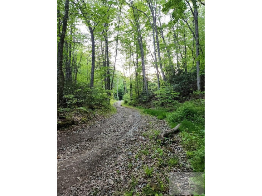 Welcome to Mountain Creek Meadow, offering 23.5 unrestricted - photo 47