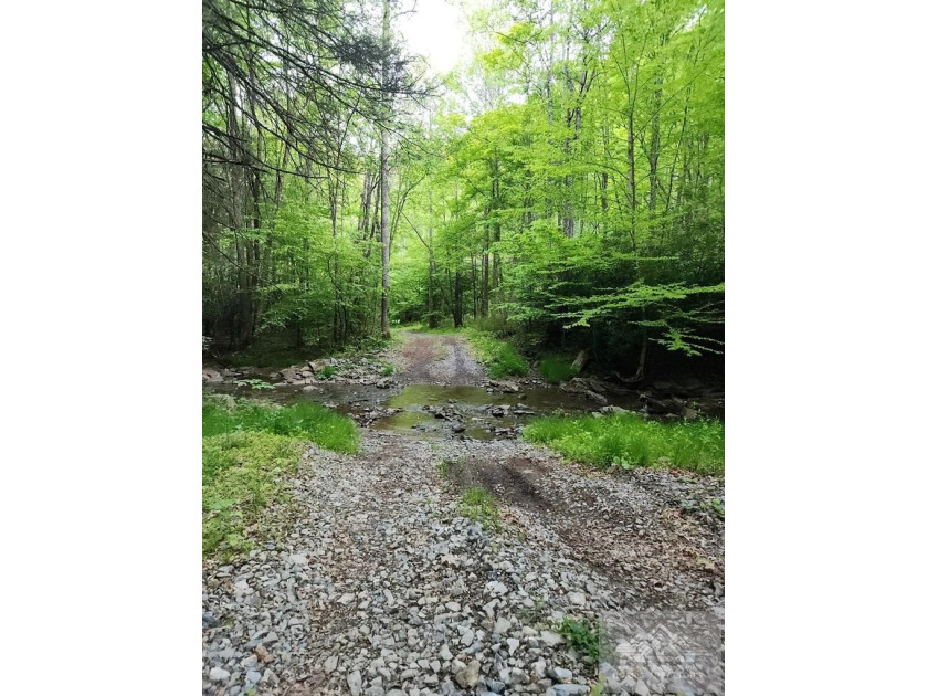 Welcome to Mountain Creek Meadow, offering 23.5 unrestricted - photo 48