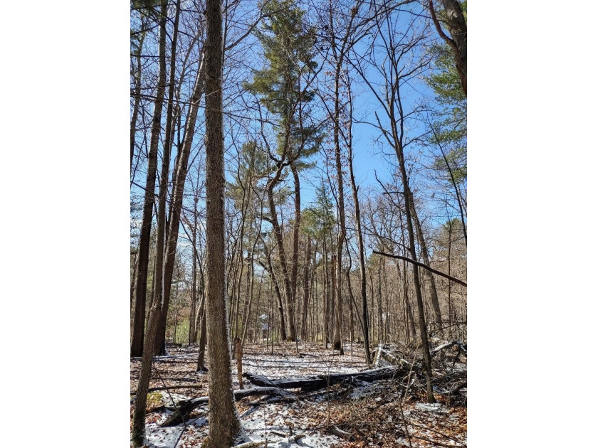 Set in the Majestic Woods development, this gorgeous heavily - photo 11