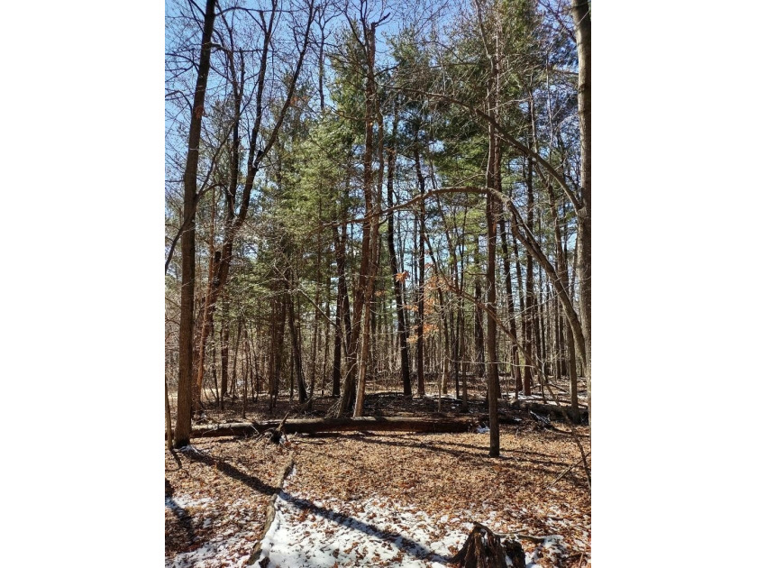 Set in the Majestic Woods development, this gorgeous heavily - photo 12