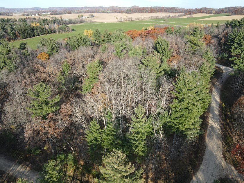 Set in the Majestic Woods development, this gorgeous heavily - photo 26