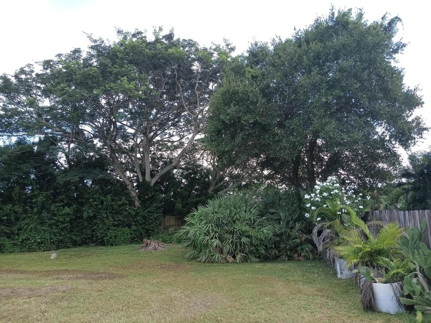This charming property offers privacy, space, and immediate - photo 38