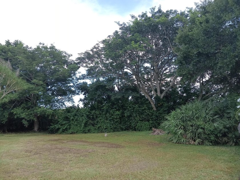 This charming property offers privacy, space, and immediate - photo 39