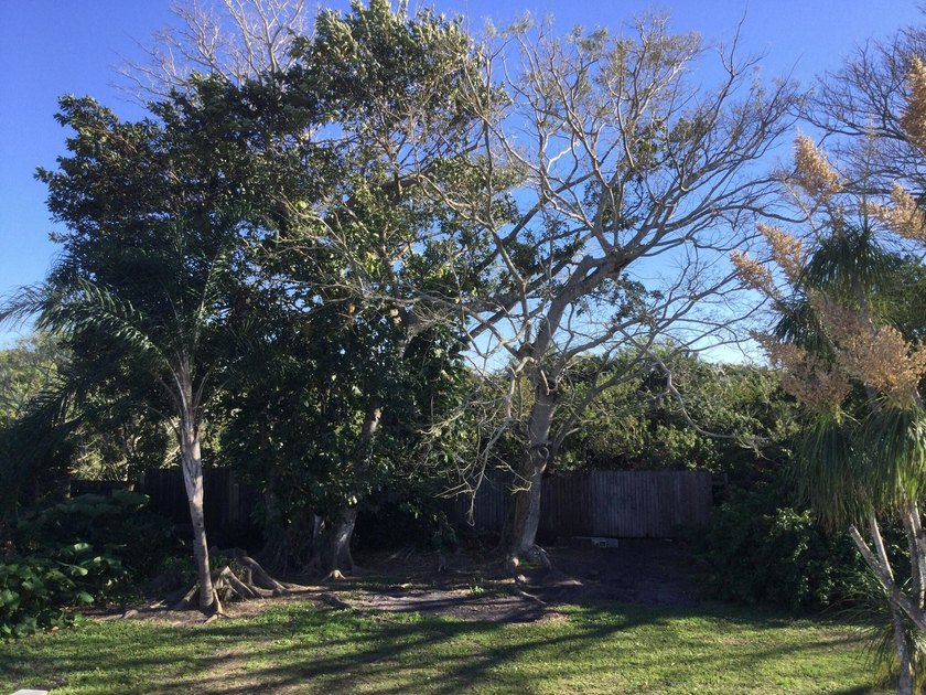 This charming property offers privacy, space, and immediate - photo 45