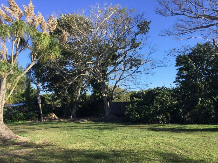 This charming property offers privacy, space, and immediate - photo 47