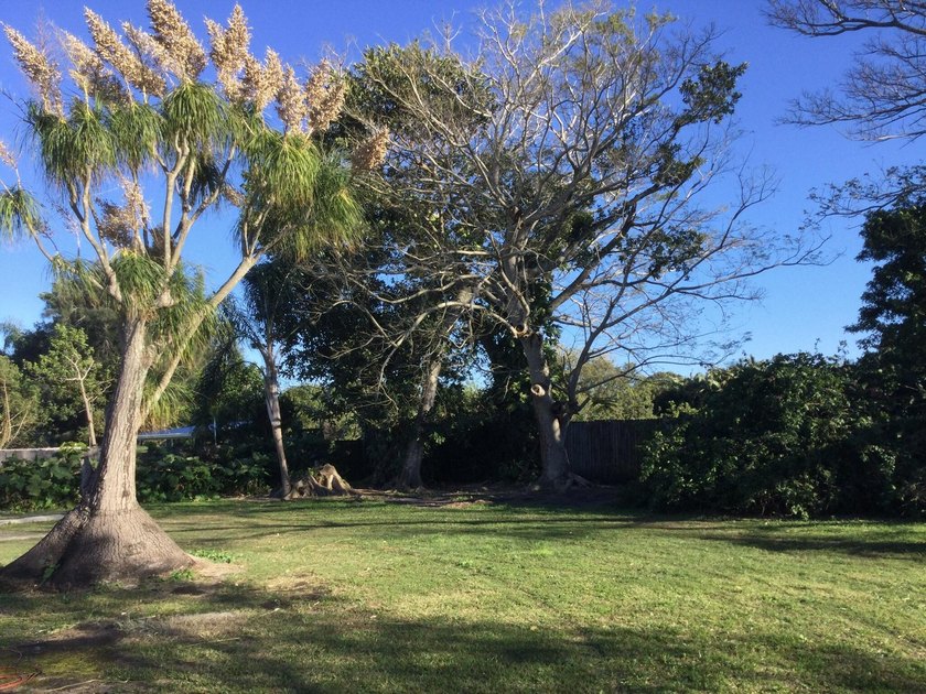 This charming property offers privacy, space, and immediate - photo 48