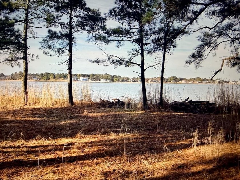 Build your dream coastal retreat on this .728-acre waterfront - photo 4