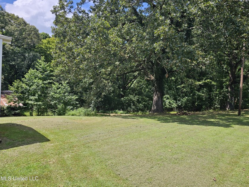 Welcome to 2077 Bethel Church Road in Holcomb, Mississippi, a - photo 19