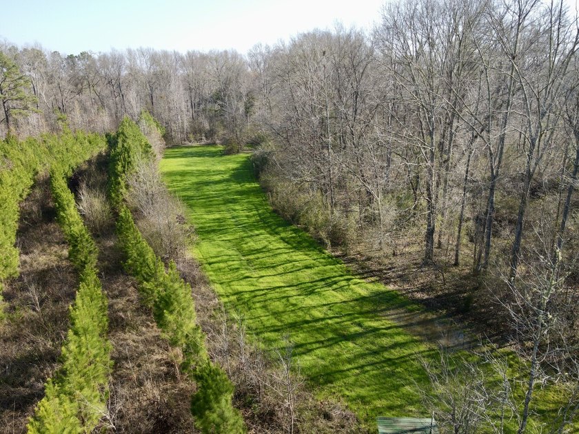 This waterfront, diverse Black Belt hunting and timber - photo 3