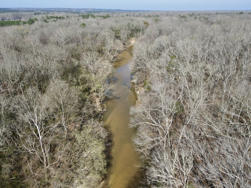 This waterfront, diverse Black Belt hunting and timber - photo 7
