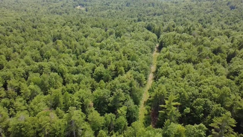 Escape to the peace and beauty of Otisfield with this 15.4-acre - photo 2