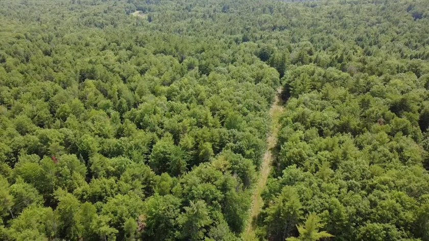 Escape to the peace and beauty of Otisfield with this 15.4-acre - photo 3