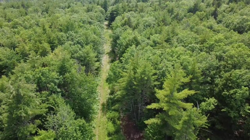 Escape to the peace and beauty of Otisfield with this 15.4-acre - photo 4