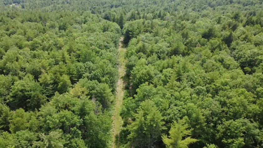 Escape to the peace and beauty of Otisfield with this 15.4-acre - photo 5