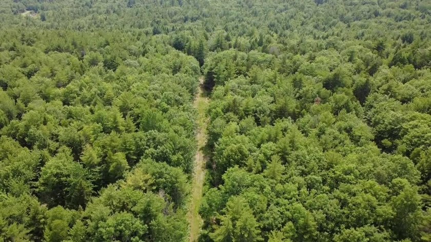 Escape to the peace and beauty of Otisfield with this 15.4-acre - photo 6