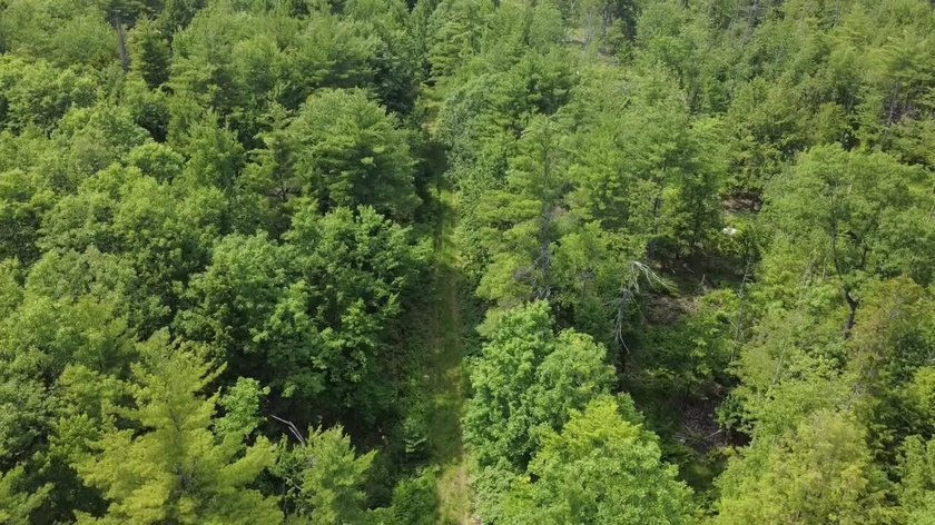 Escape to the peace and beauty of Otisfield with this 15.4-acre - photo 7