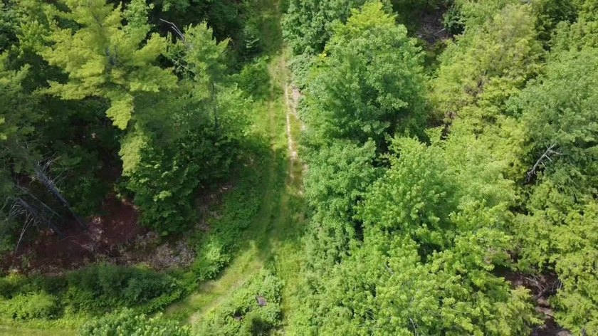Escape to the peace and beauty of Otisfield with this 15.4-acre - photo 8
