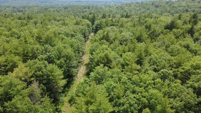 Escape to the peace and beauty of Otisfield with this 15.4-acre - photo 9