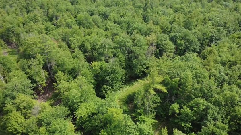 Escape to the peace and beauty of Otisfield with this 15.4-acre - photo 10