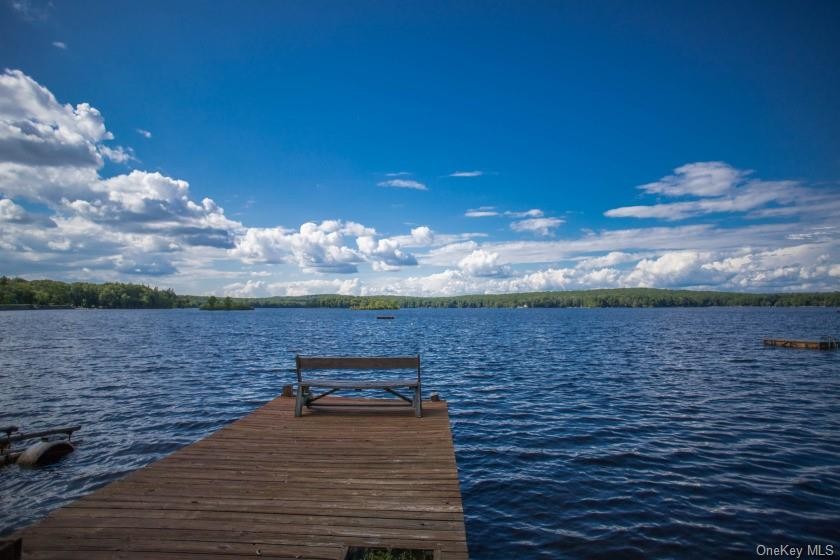 364 Yankee Lake Road, Mamakating, NY 12790, 4241498