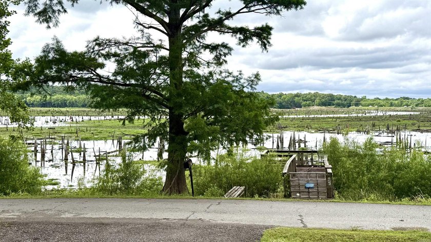 Fully renovated lakefront retreat on Lake Conway! This - photo 23