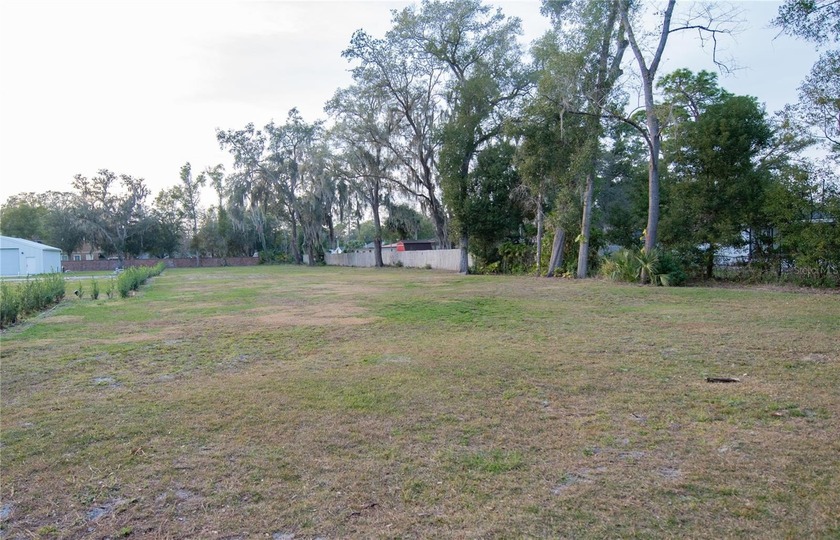 Welcome to this charming residential lot at 136 N 9th St in Lake - photo 2