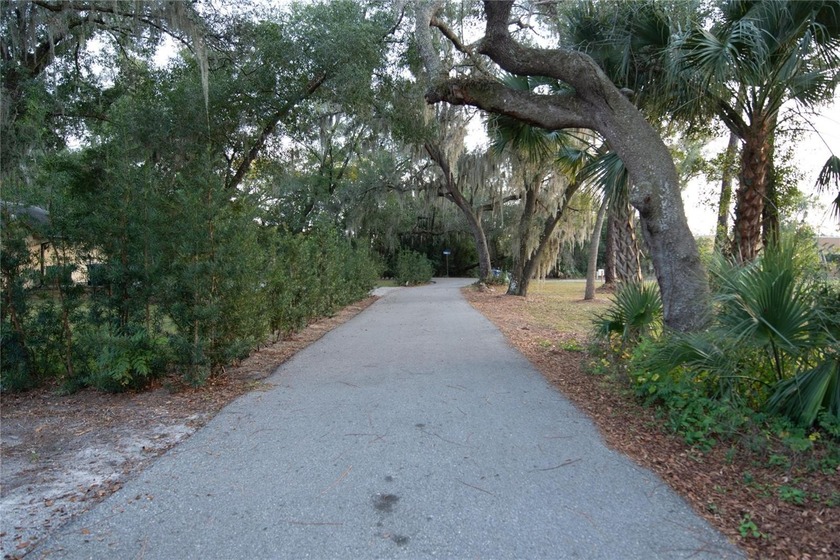 Welcome to this charming residential lot at 136 N 9th St in Lake - photo 6