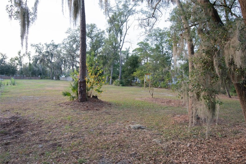 Welcome to this charming residential lot at 136 N 9th St in Lake - photo 9