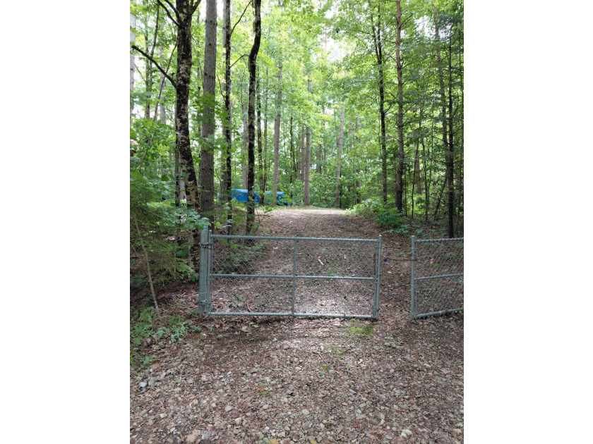 How cool is this!! 1.6 Acres of woods and privacy! You can get - photo 11