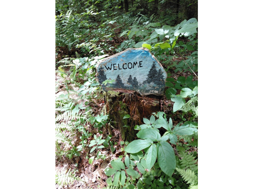How cool is this!! 1.6 Acres of woods and privacy! You can get - photo 15