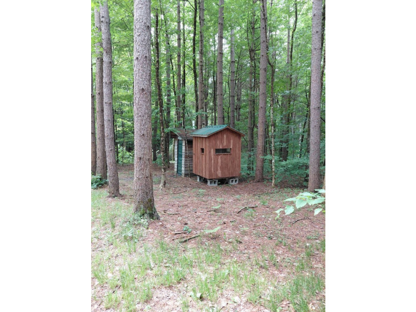 How cool is this!! 1.6 Acres of woods and privacy! You can get - photo 16