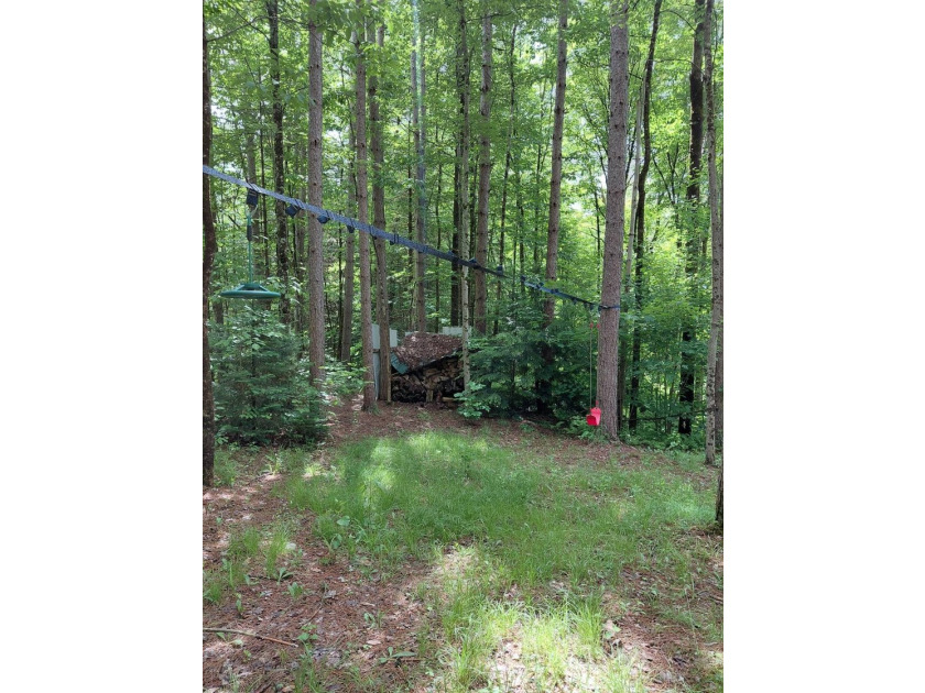 How cool is this!! 1.6 Acres of woods and privacy! You can get - photo 18