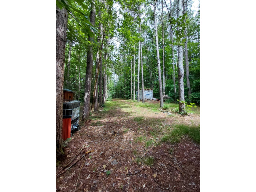 How cool is this!! 1.6 Acres of woods and privacy! You can get - photo 26