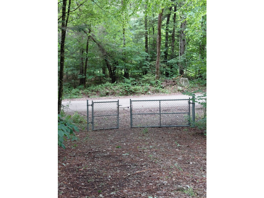 How cool is this!! 1.6 Acres of woods and privacy! You can get - photo 27