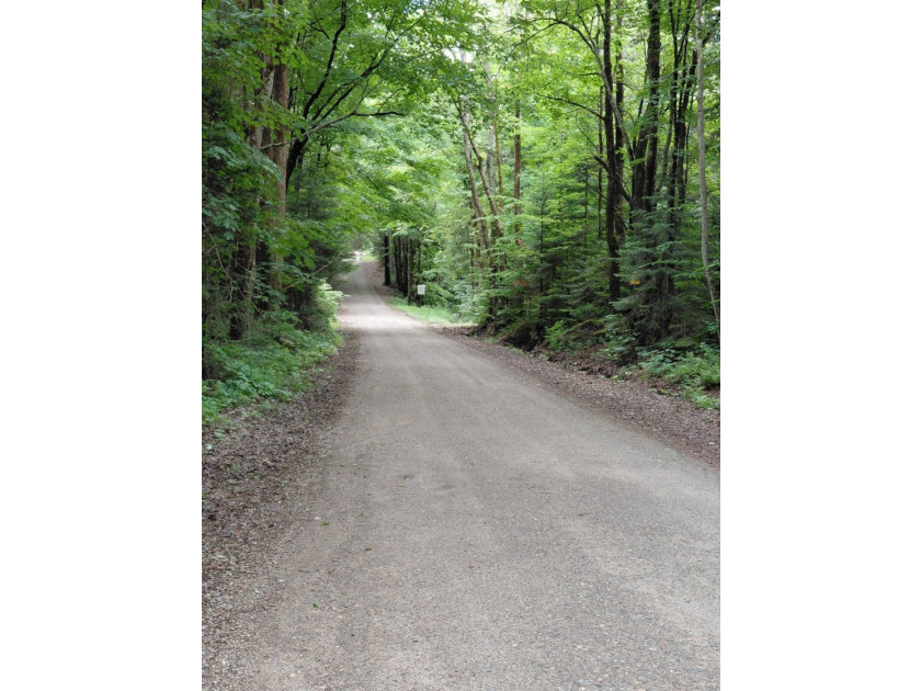 How cool is this!! 1.6 Acres of woods and privacy! You can get - photo 28