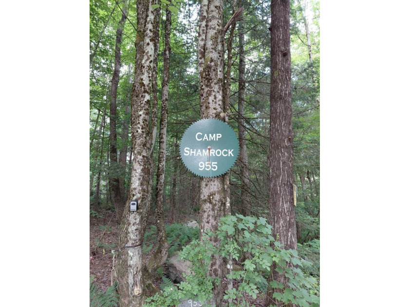 How cool is this!! 1.6 Acres of woods and privacy! You can get - photo 30