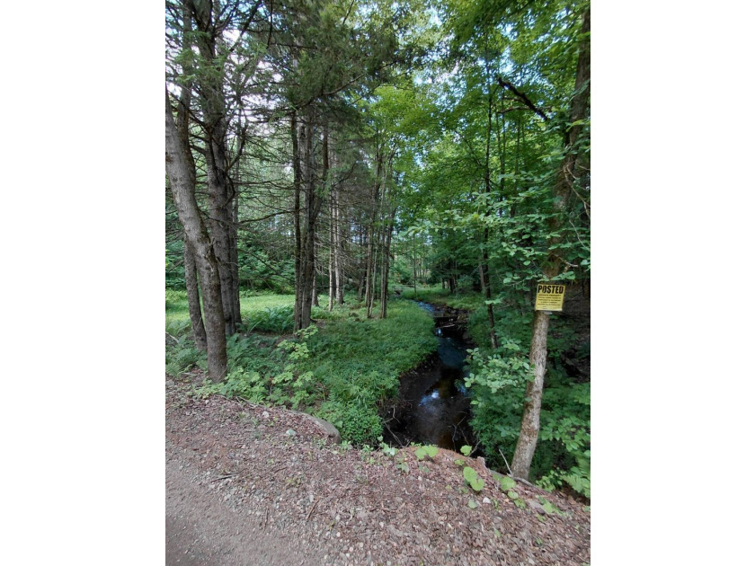 How cool is this!! 1.6 Acres of woods and privacy! You can get - photo 32