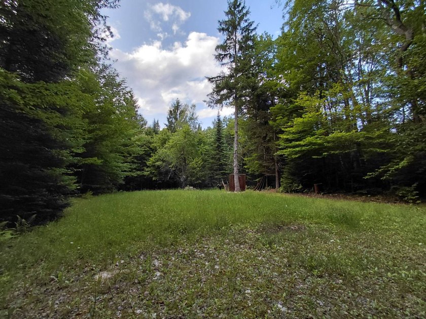 How cool is this!! 1.6 Acres of woods and privacy! You can get - photo 33