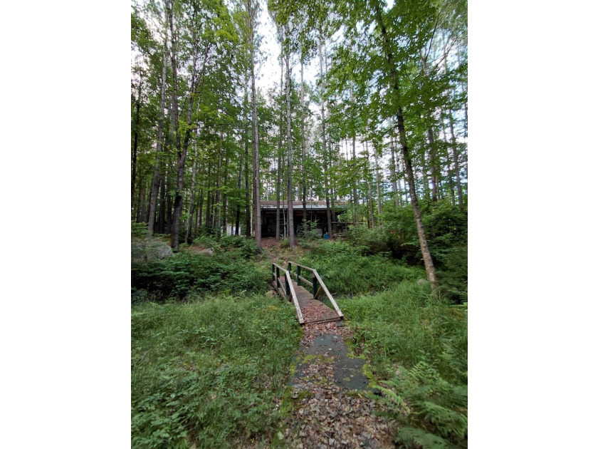 How cool is this!! 1.6 Acres of woods and privacy! You can get - photo 37